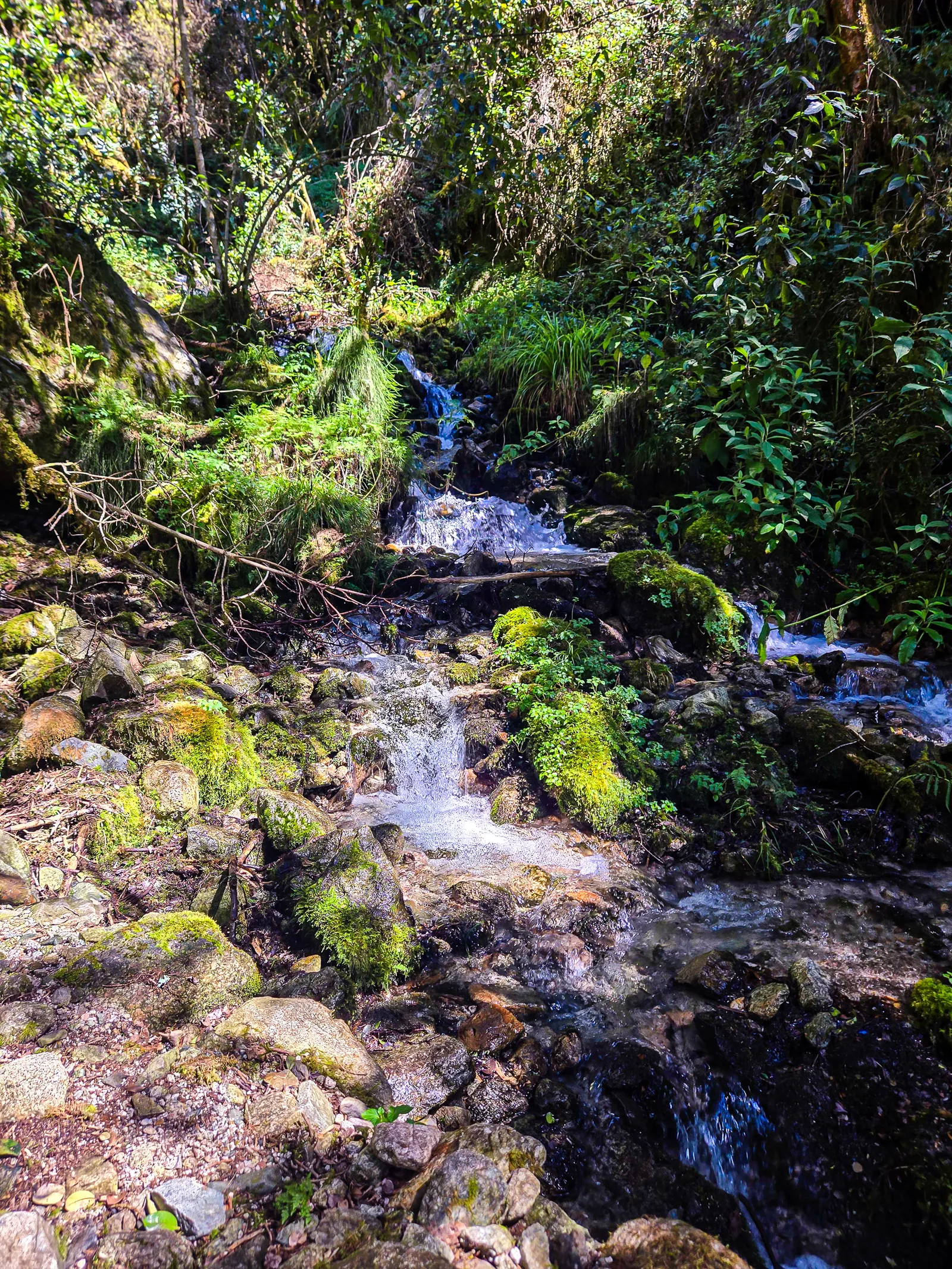 Andean woodland cusichaca river valley 4.ef iXraE