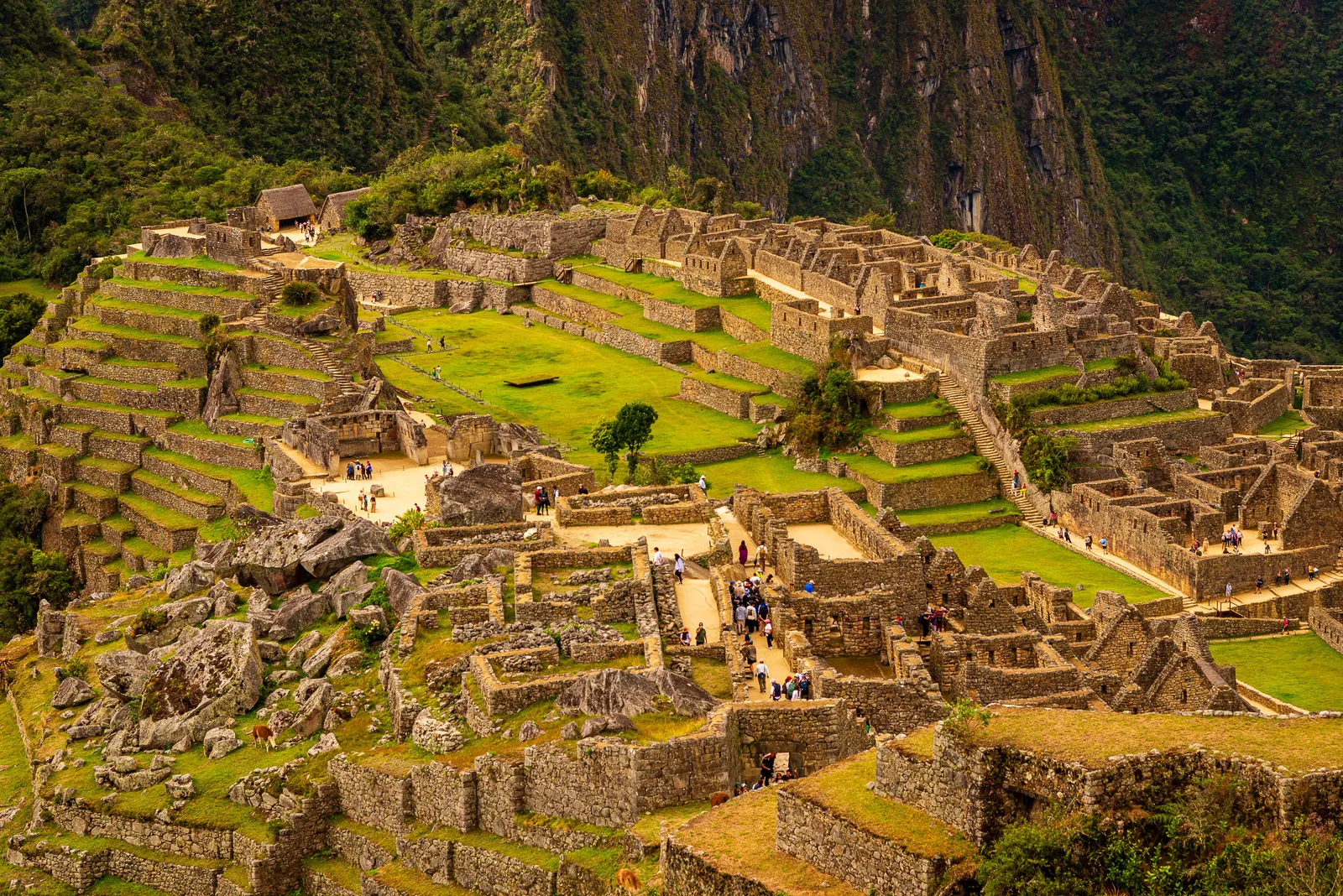 Close up machu picchu.C5U3D0kf