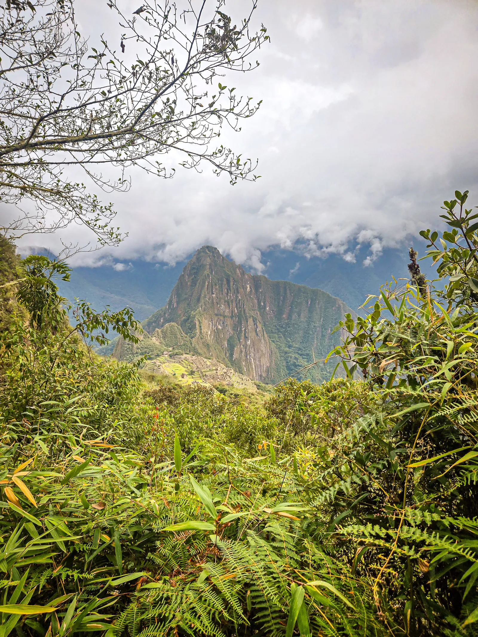 Day 5 machu picchu 14.DMz6Fjdl