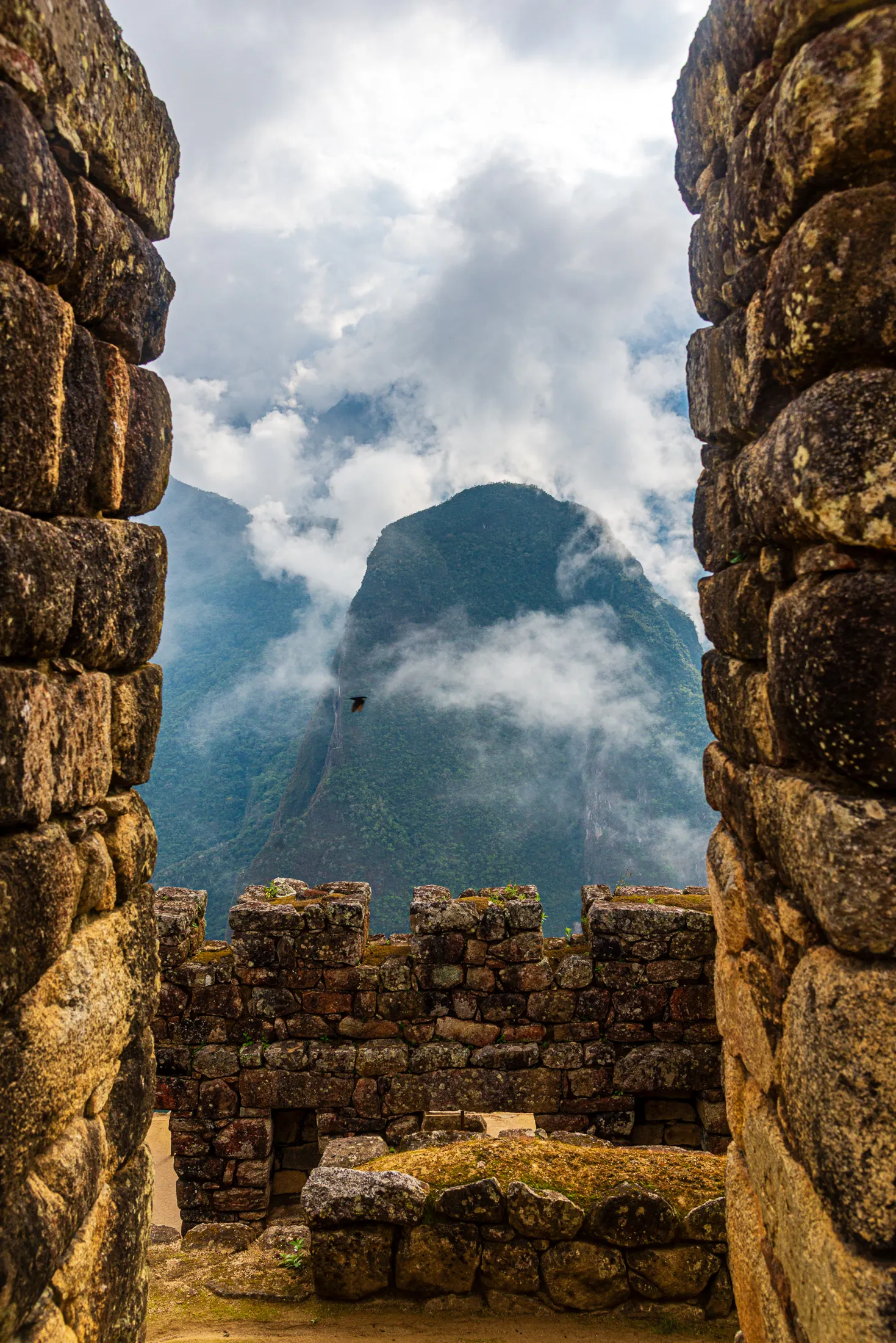 Day 5 machu picchu 8.DfNdinrq