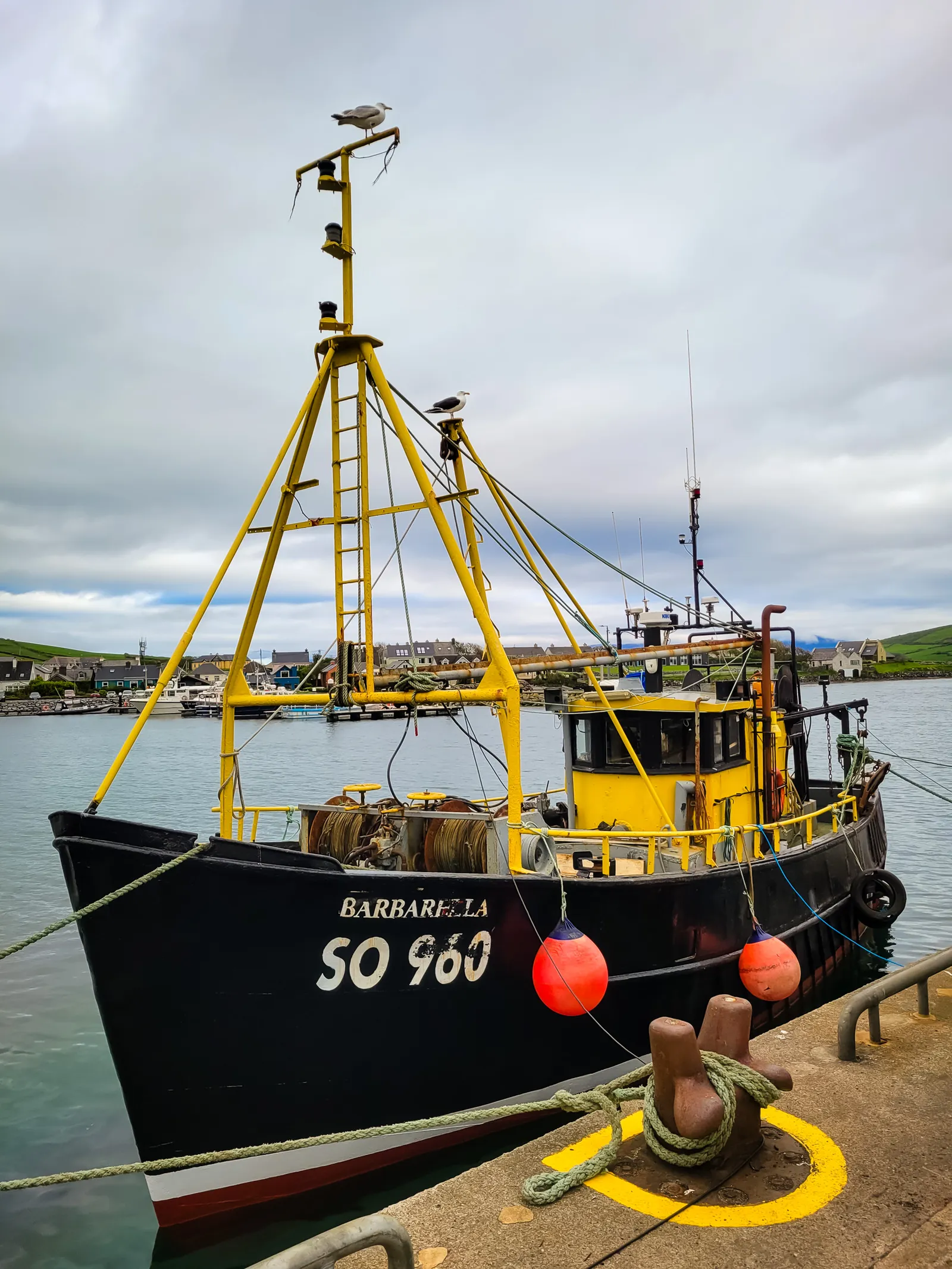 Dingle harbor exploring 3.BNyLKHIB