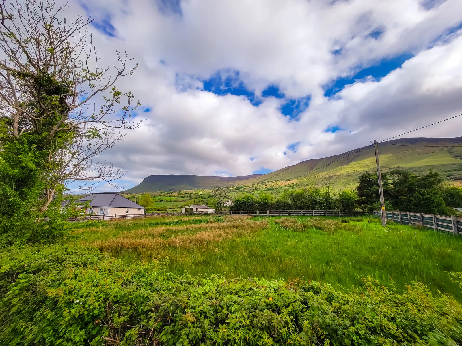 Donegal 1.CzFie3dV
