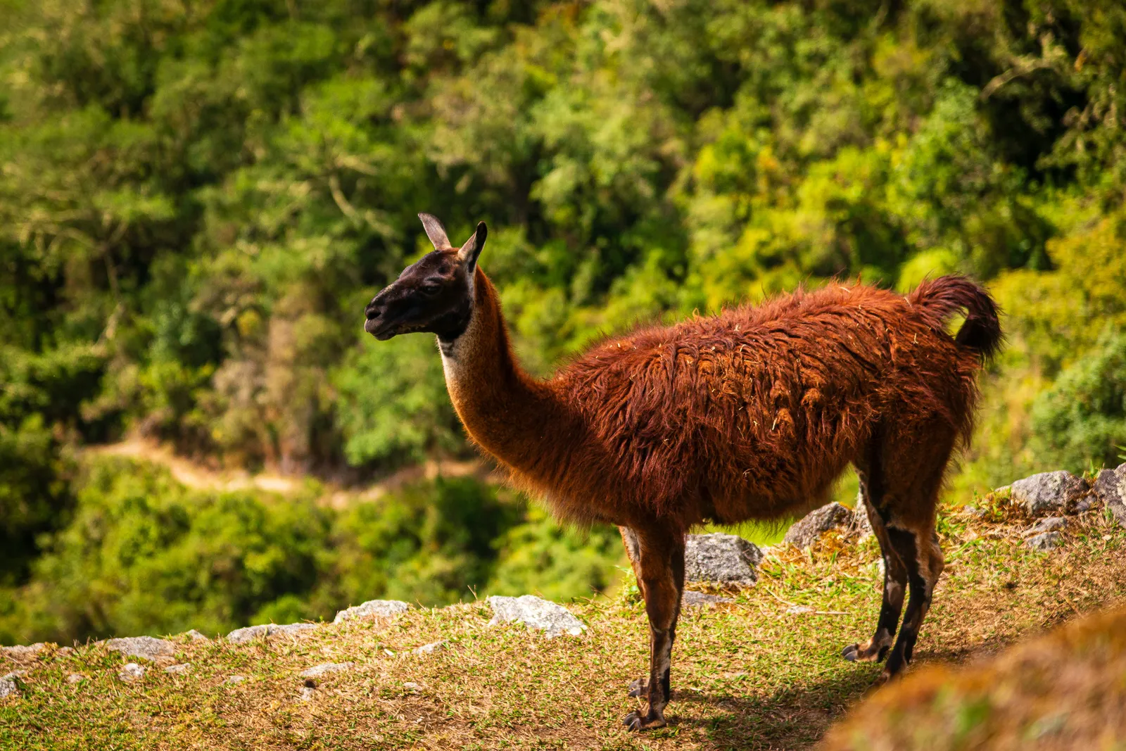 Exploring intipata 2.DCjYYoLX