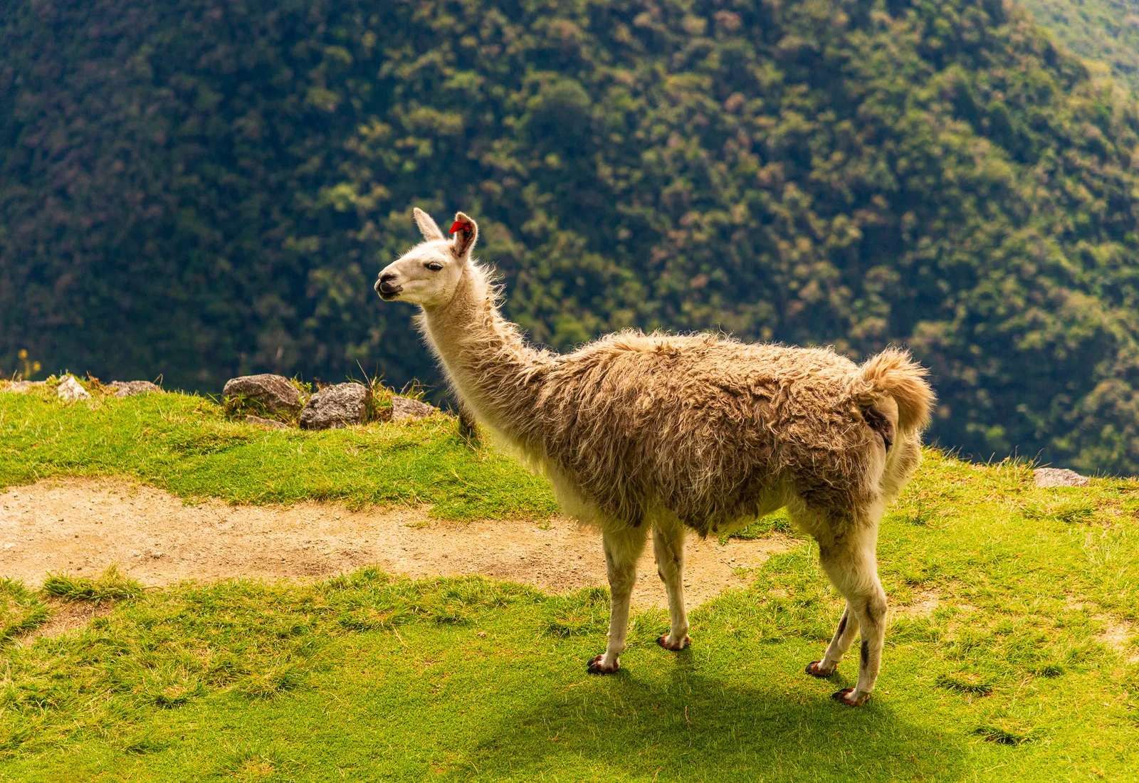 Exploring intipata 3.BbI2WpYN
