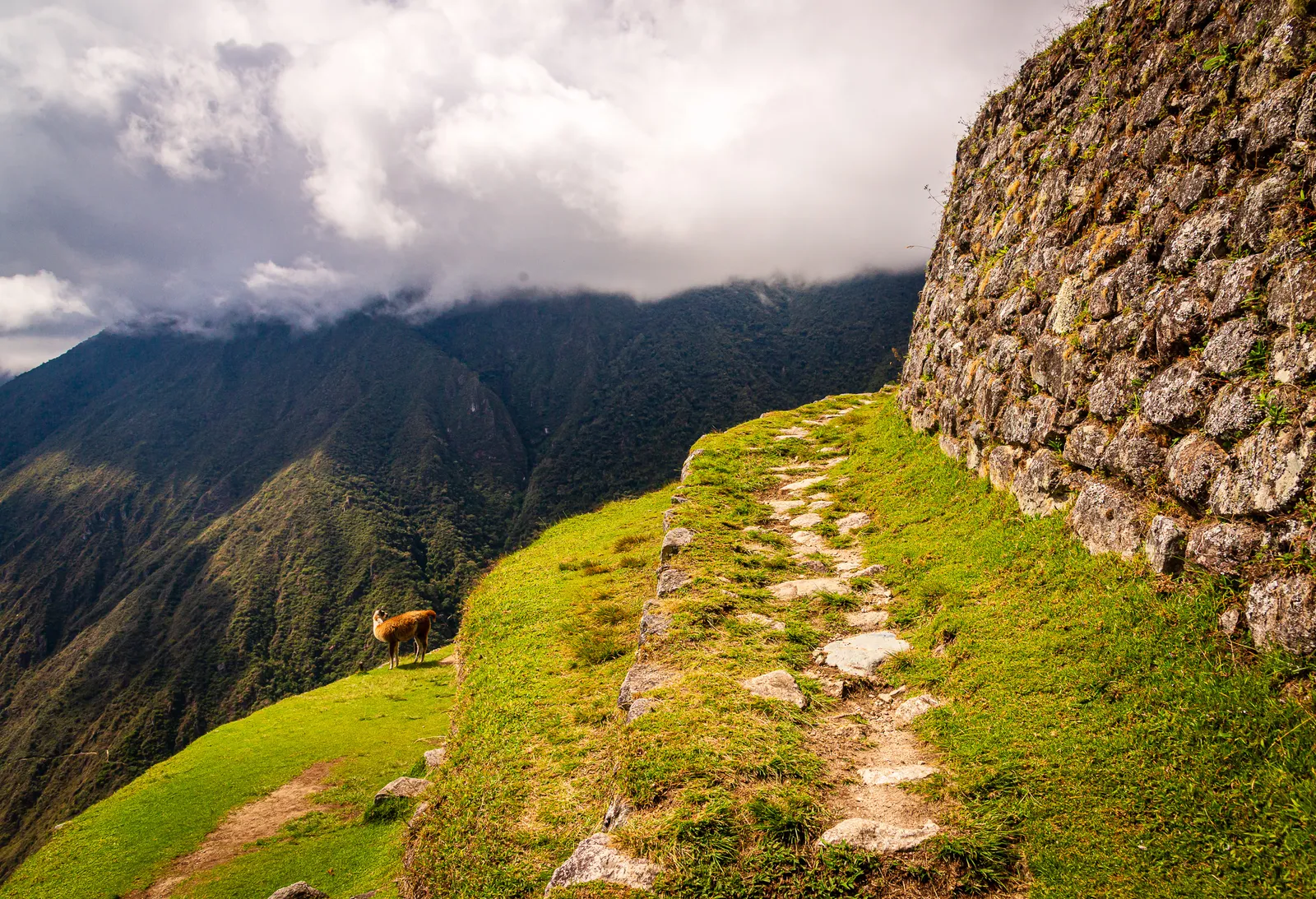 Exploring intipata 5.CykI ZoX