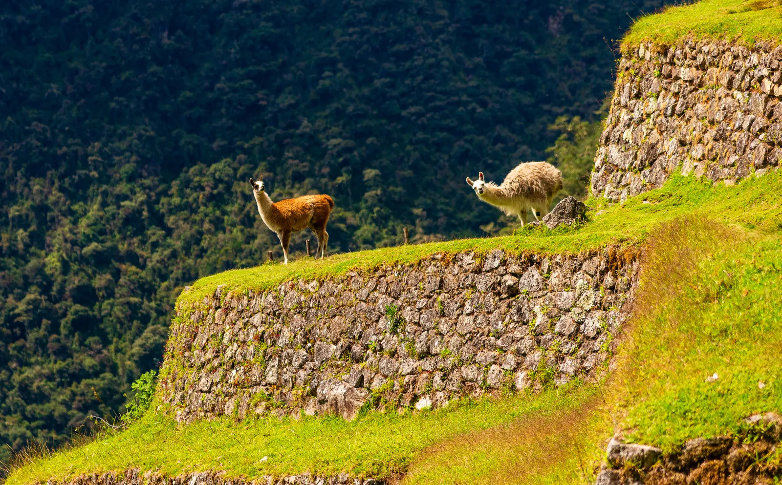 Exploring intipata 7.j3dQwLWX