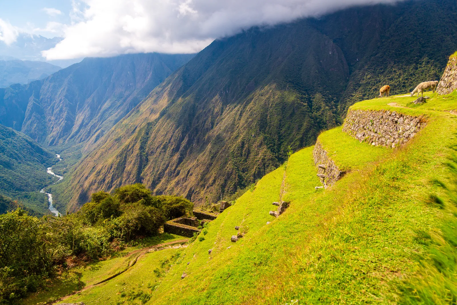 Exploring intipata 8.CJYIgwea