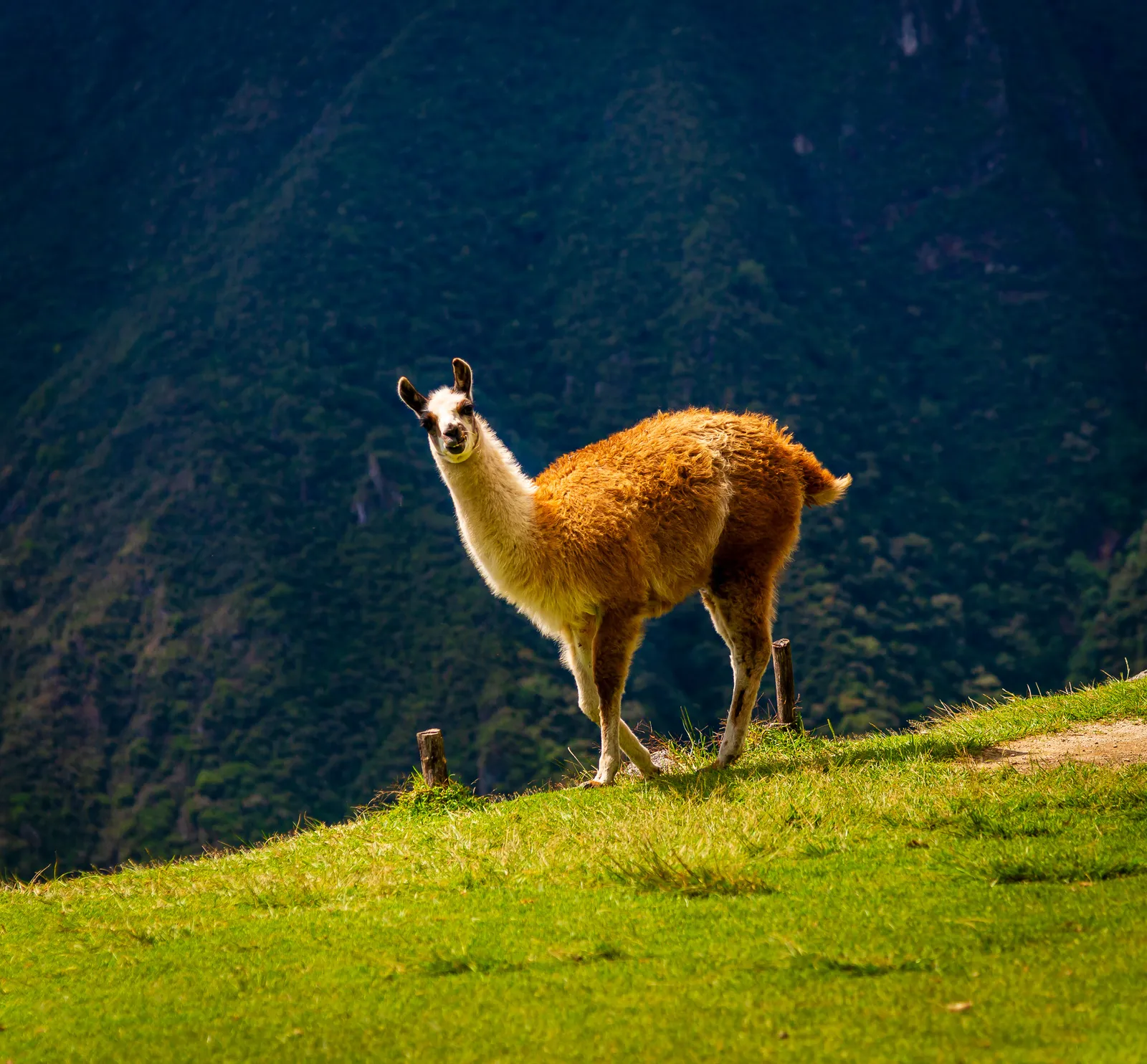 Exploring intipata 9.Br5OMYR2