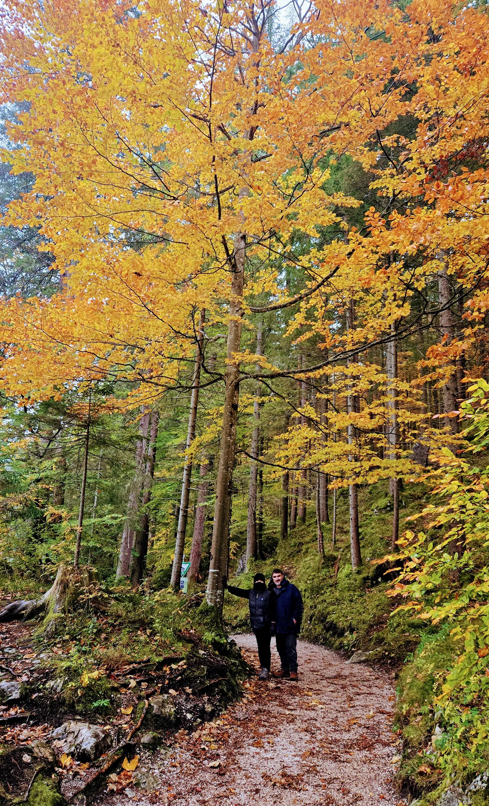 Family lake eibsee trail.CvN9zyXW