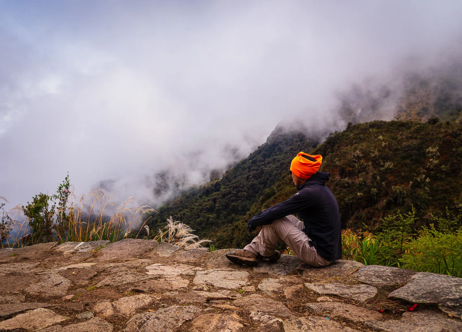 Guide looking out.WWyyWyss
