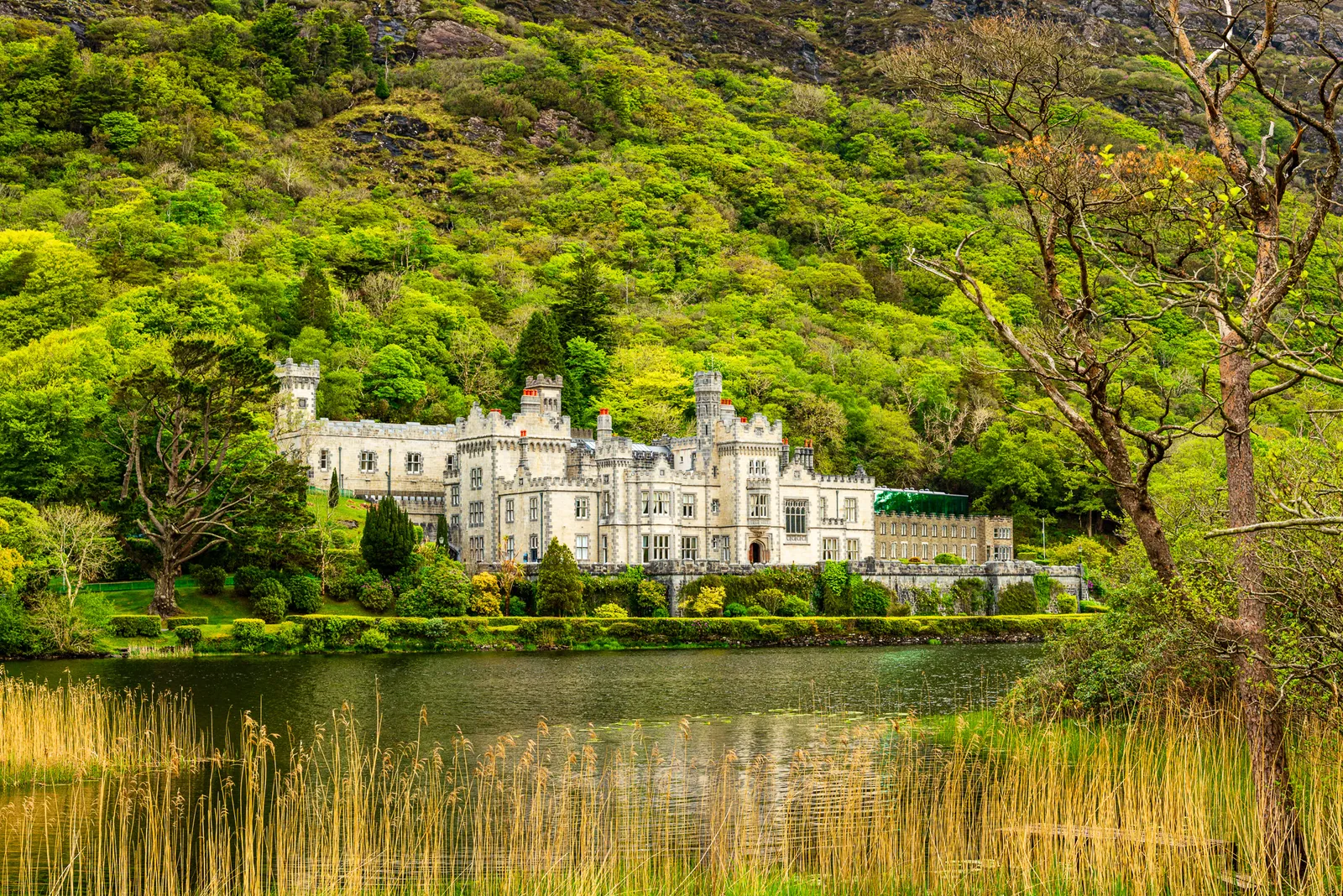 Kylemore abbey.3WLjGudw