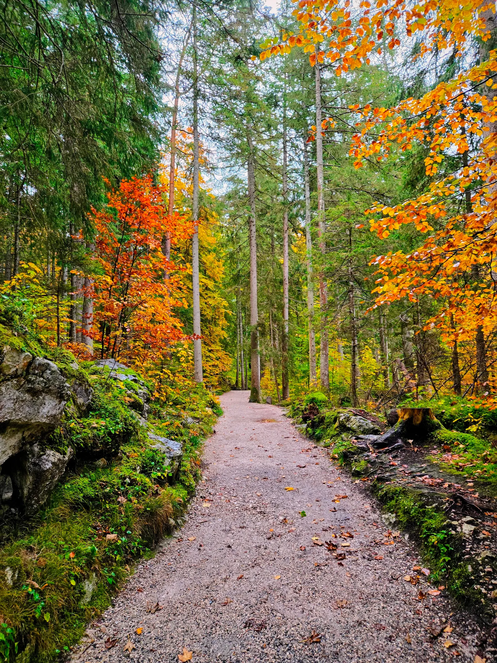 Lake eibsee trail1.C8JPxZ0s
