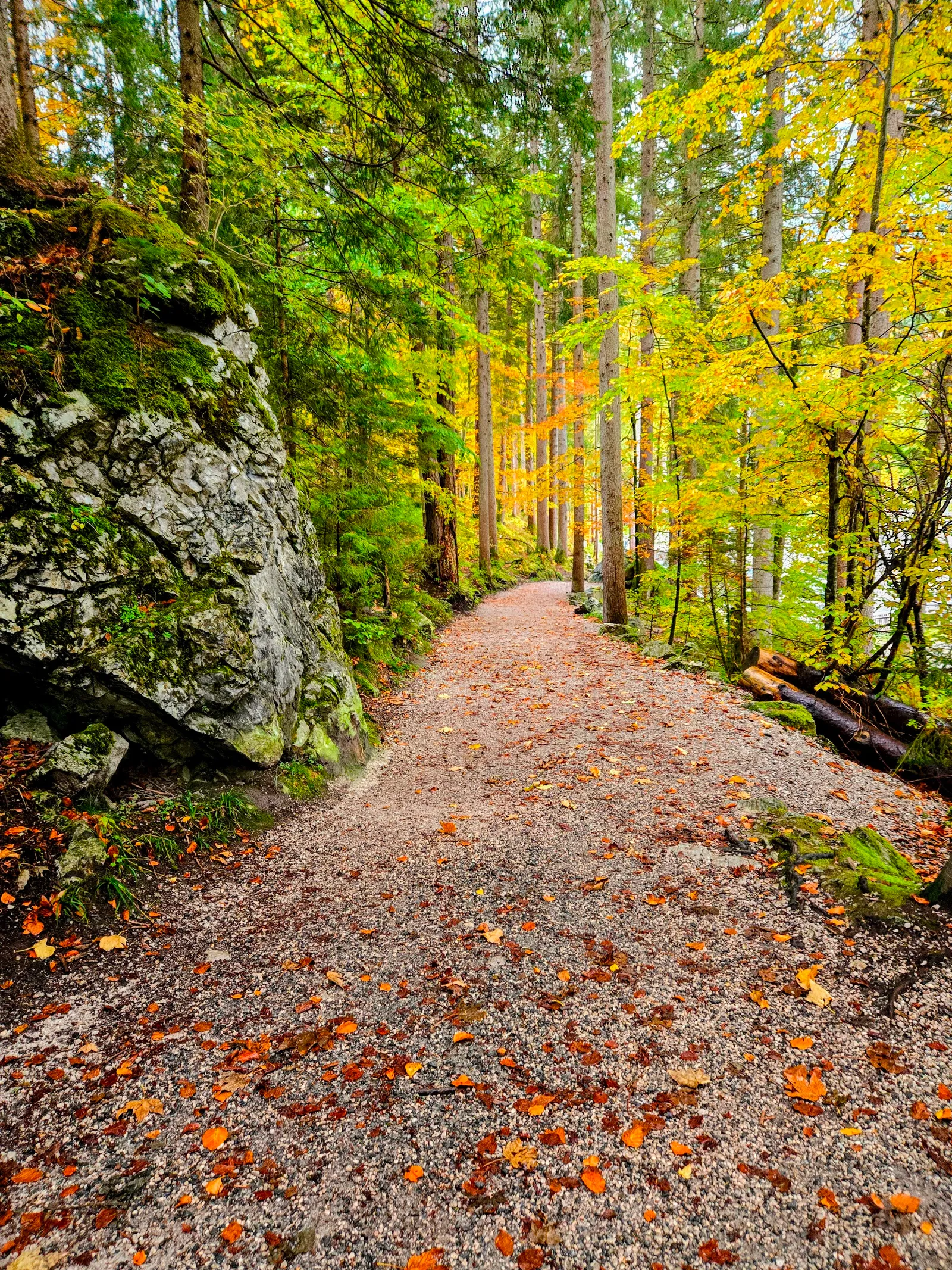 Lake eibsee trail2.0UY5Jro1
