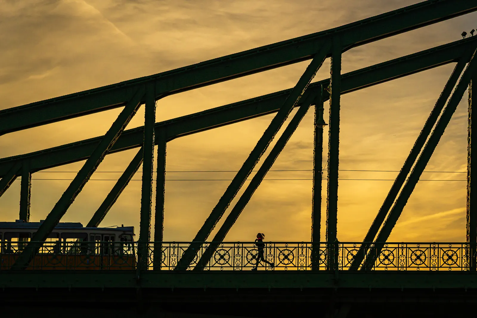 Liberty bridge budapest.BguMCGcp