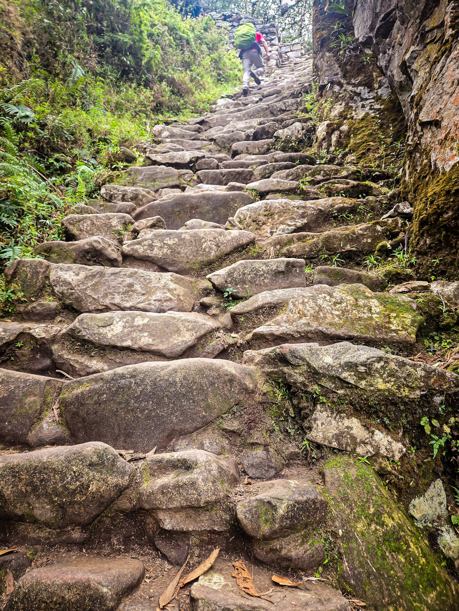 Monkey steps sun gate.DsuEoBIg