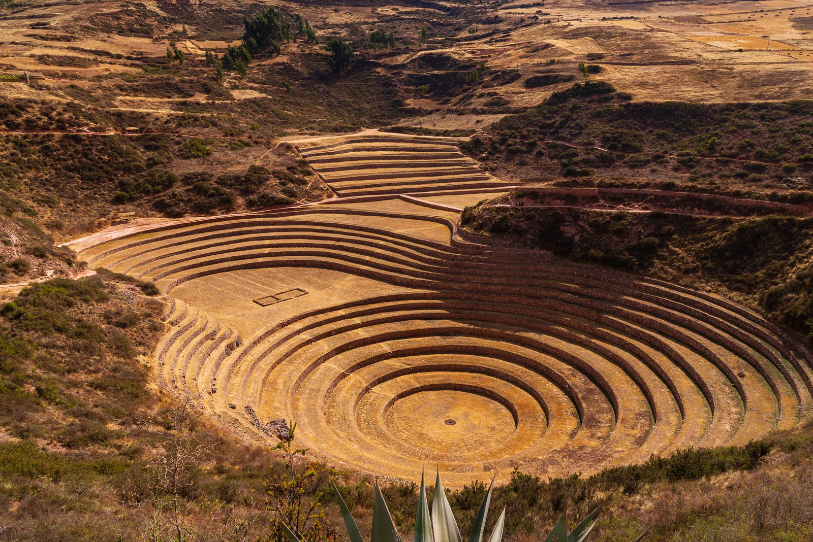 Moray 1.DO4BuGSO