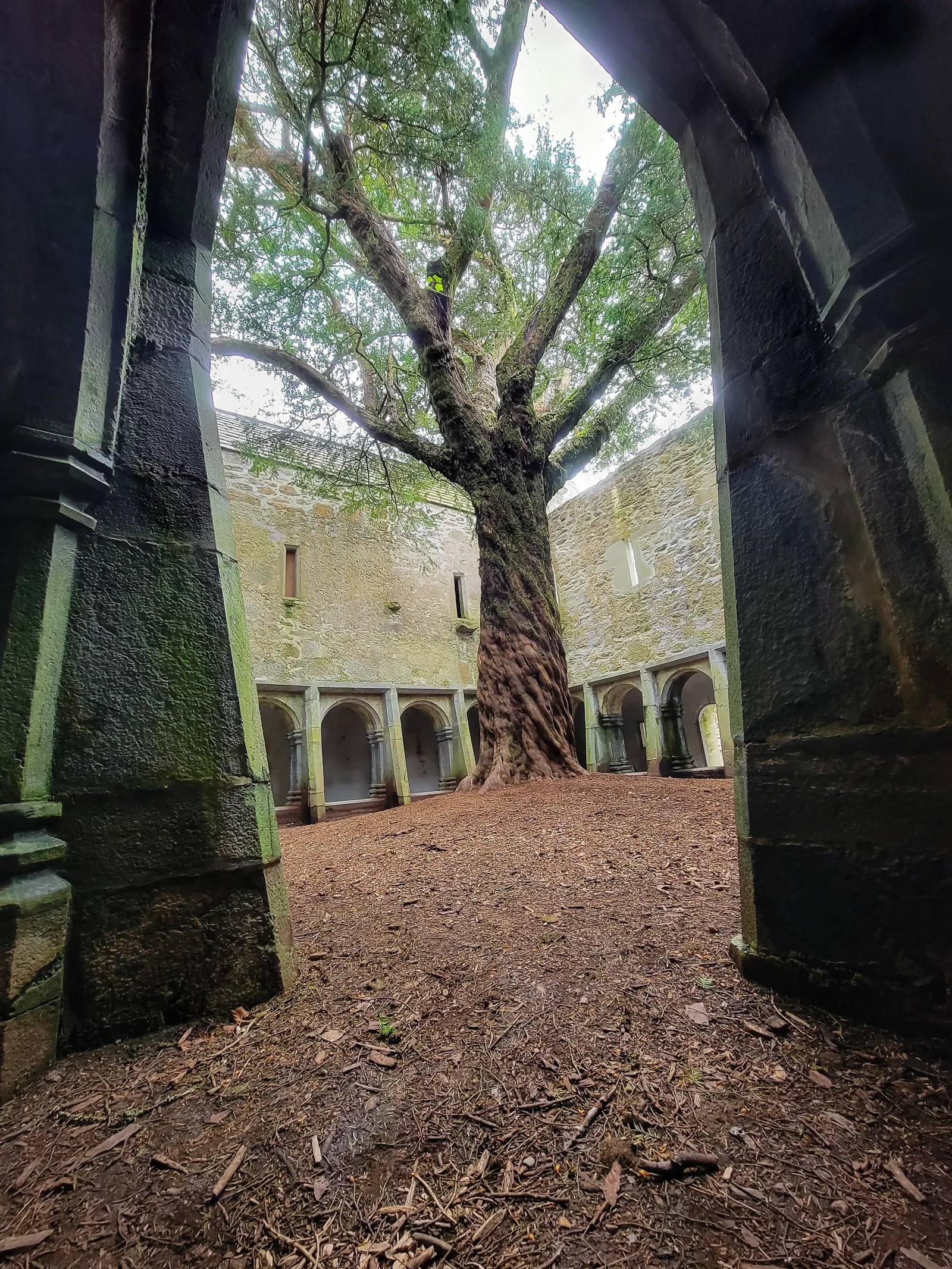 Muckross abbey 1.BN04EHsc