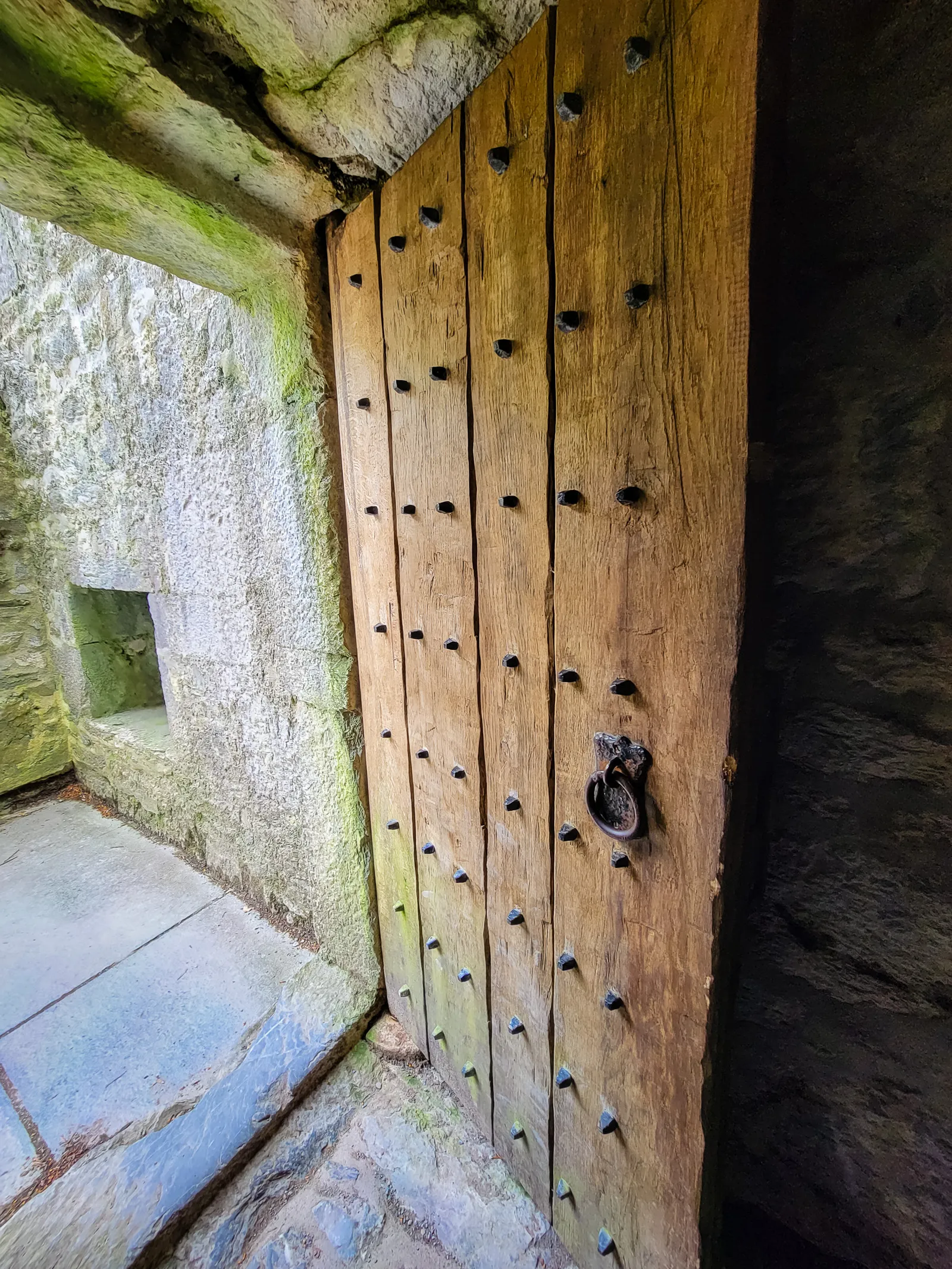 Muckross abbey 5.fB 5 P0L