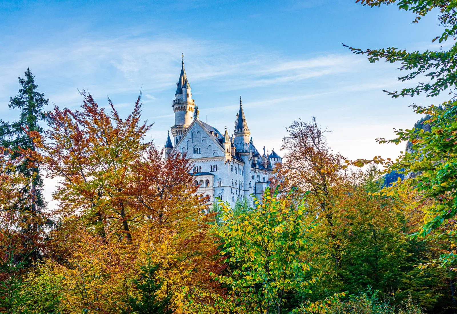 Neuschwanstein castle through trees .B9B9VxR5