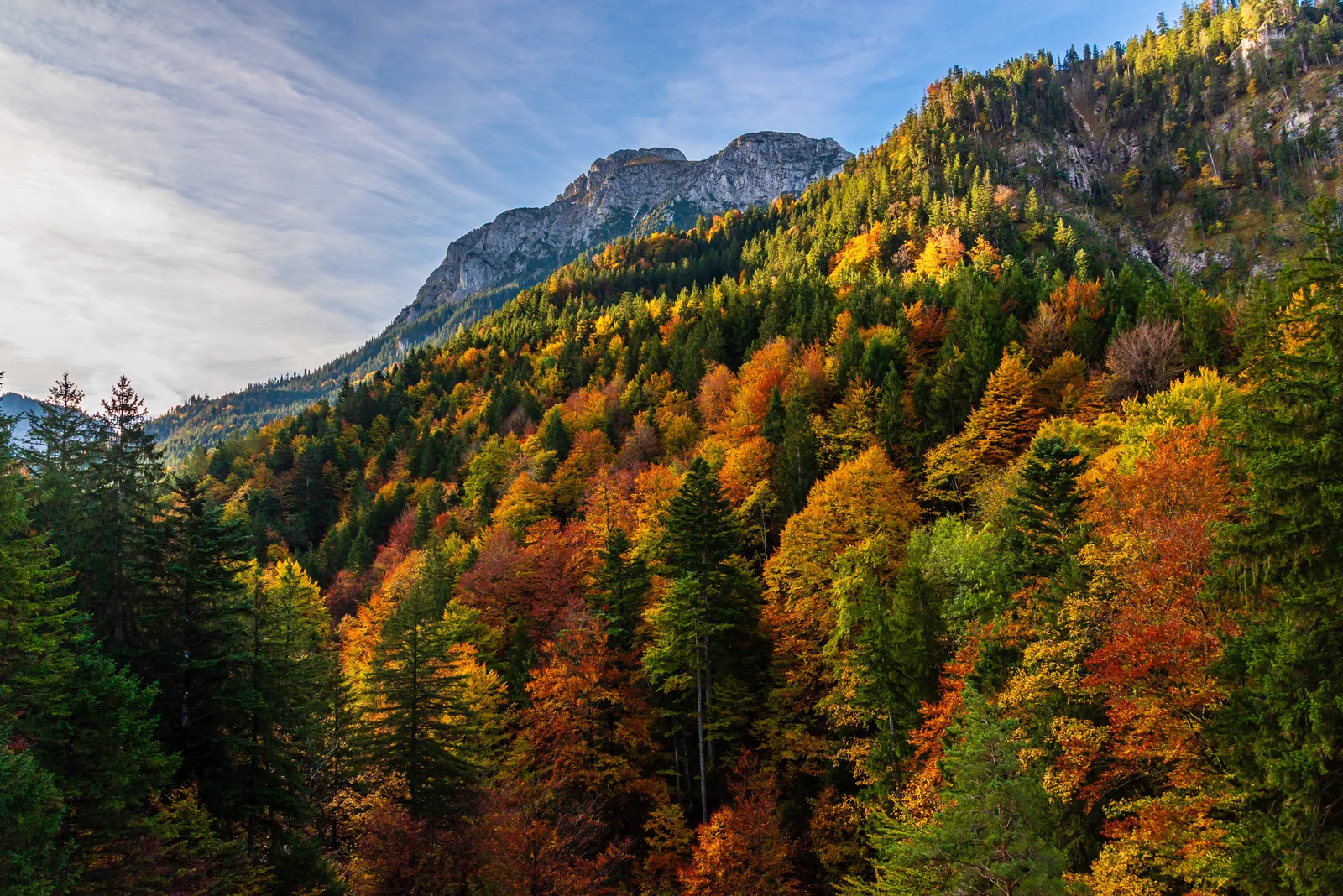Neuschwanstein surrounding area.CYM2dx1K