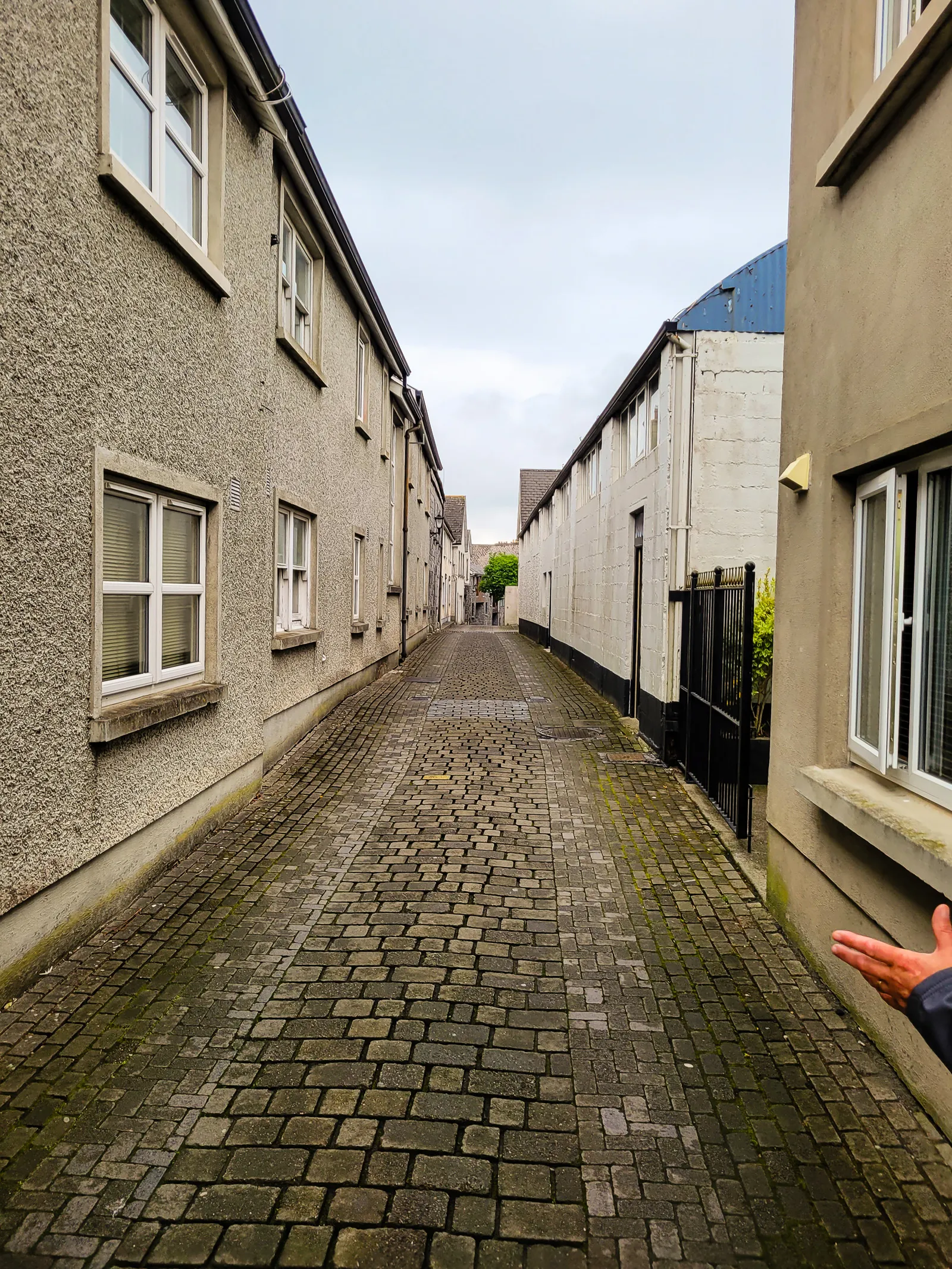Nevin cody walk.LQZxuMYk
