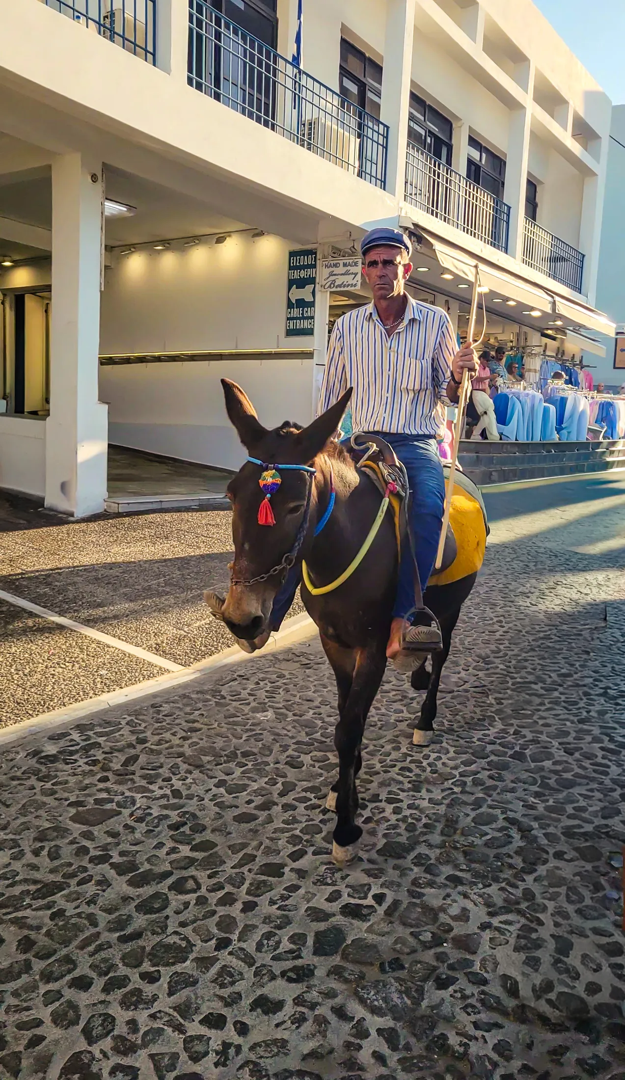 Oia donkey porter.C15 rtff