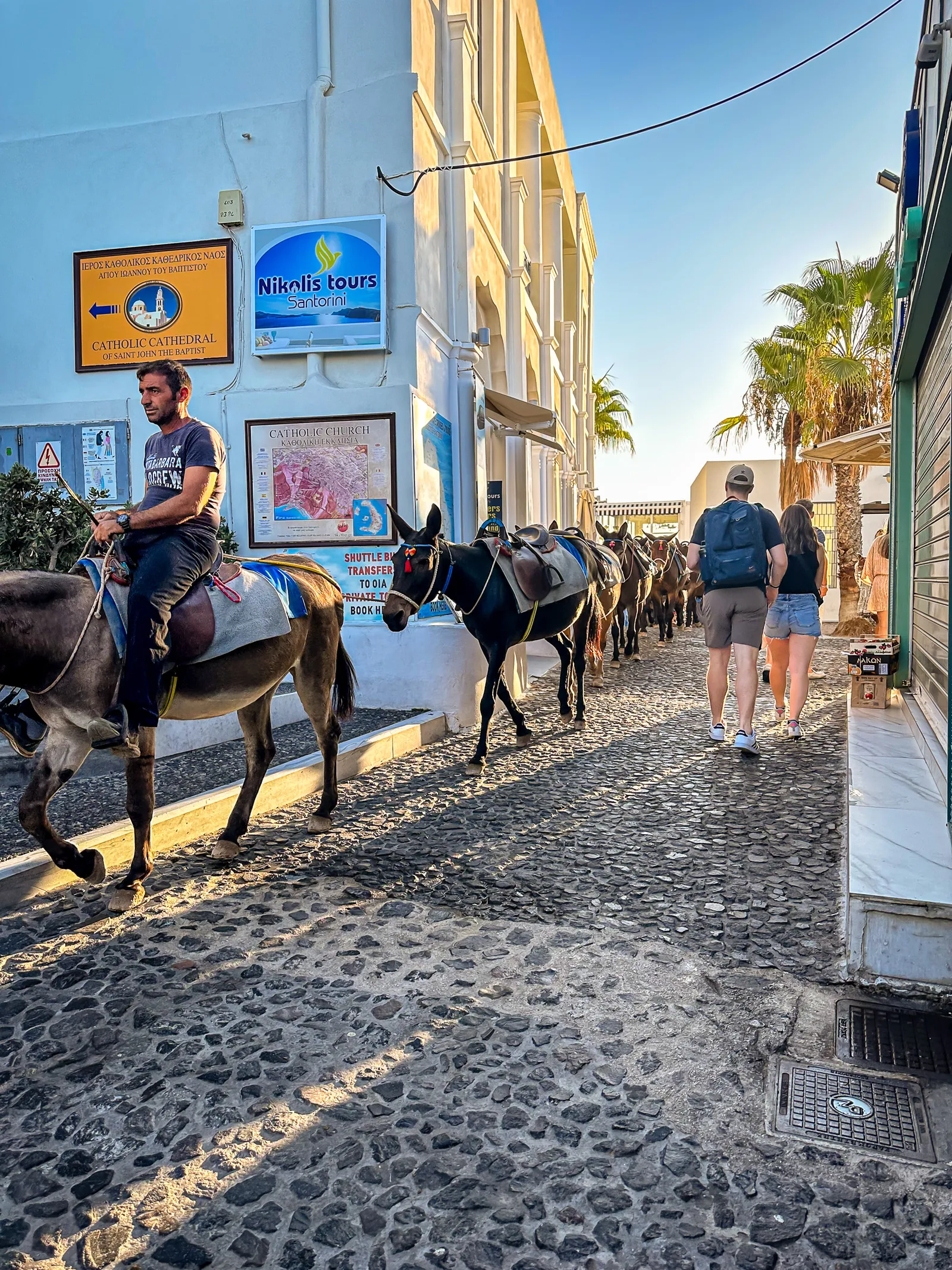 Oia donkeys.B71O c3d