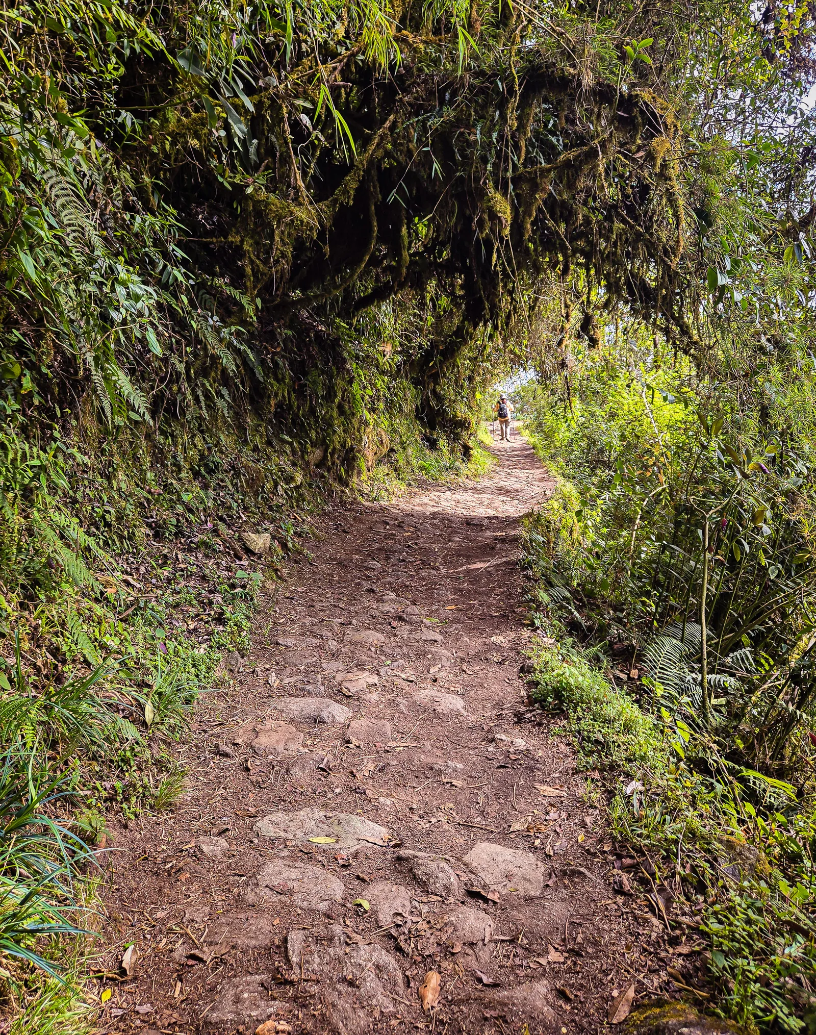 On the way to intipata 5.y498L8gq
