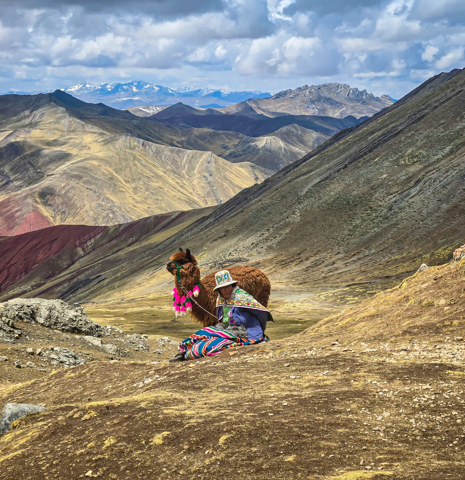 Palcoyo local andean women llama.ChozMW N