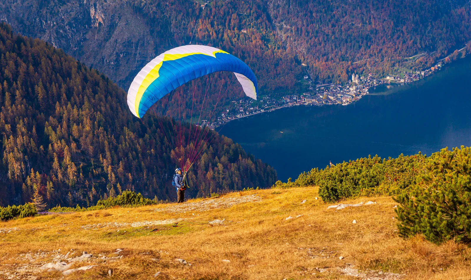 Para glider five fingers.B ttTrxS