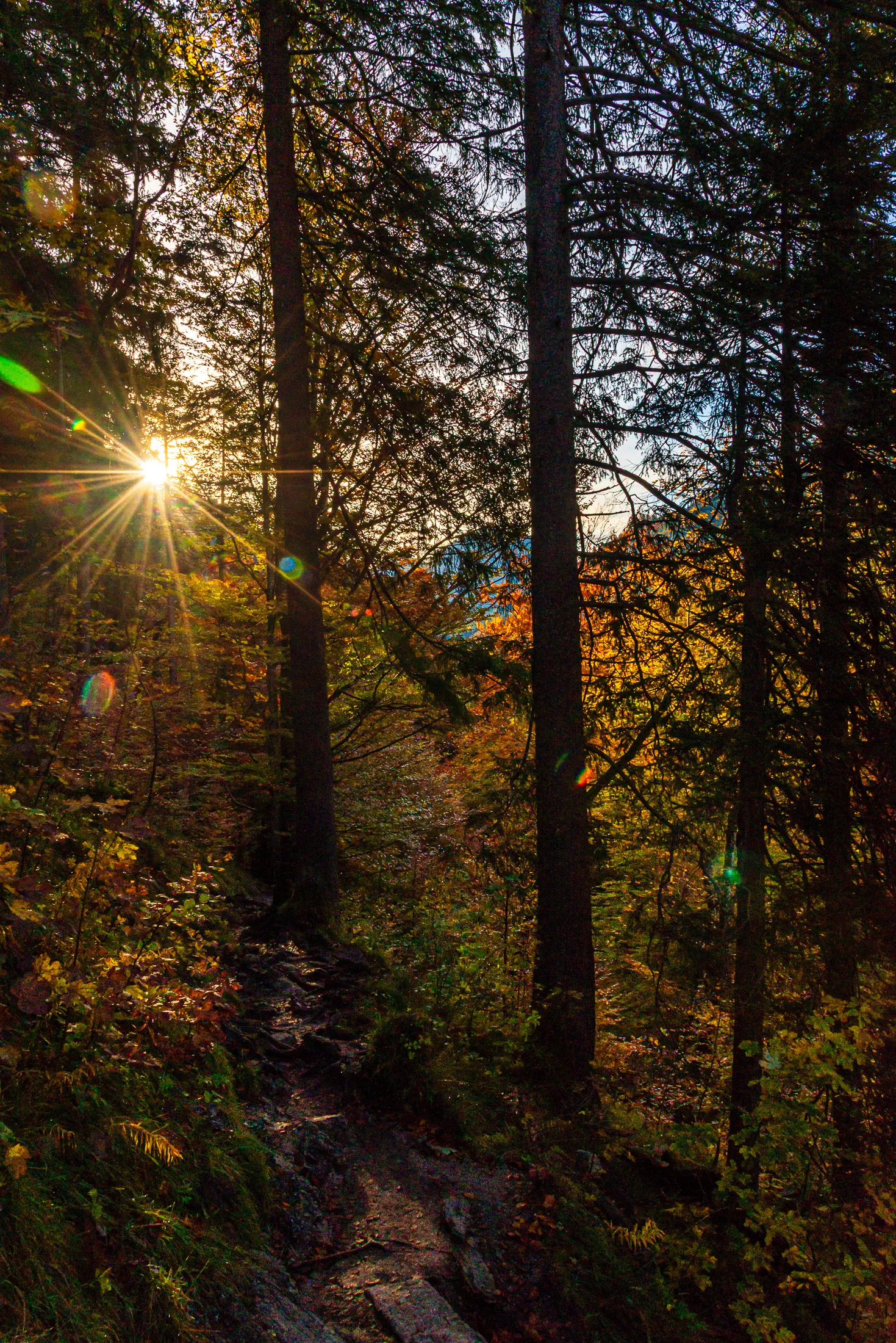 Path after marys bridge sun beam.Cd BXmYQ
