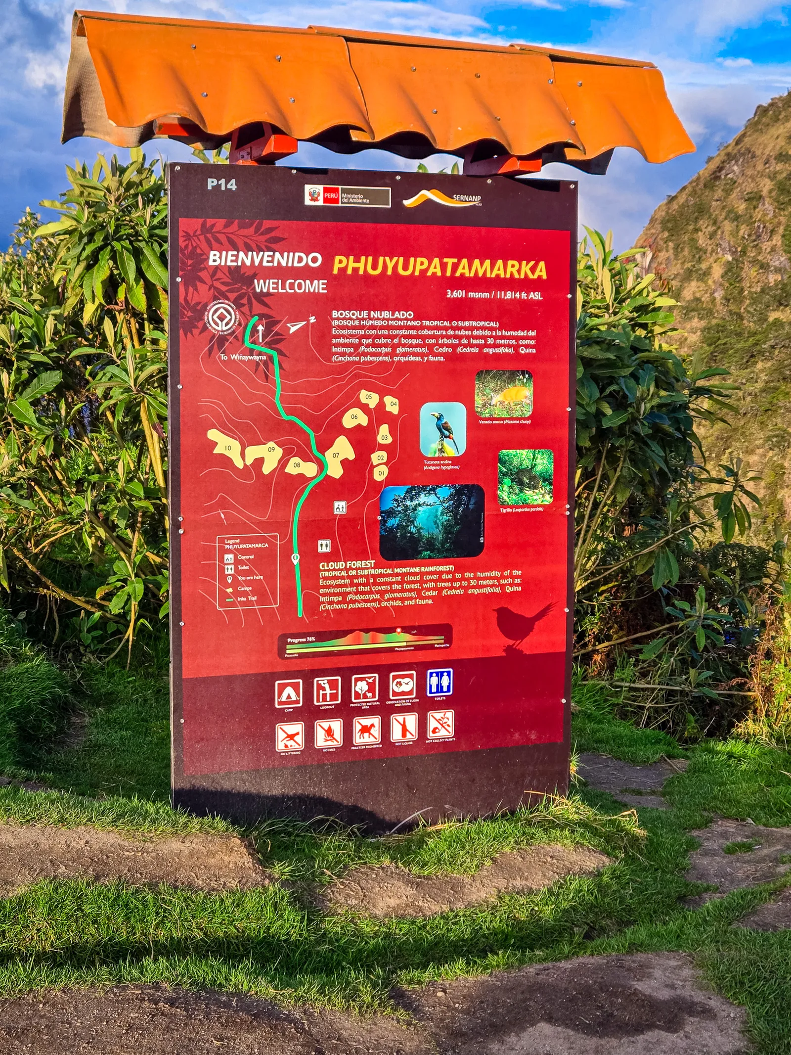 Phuyupatamarka campsite 5.Cf92vYtg