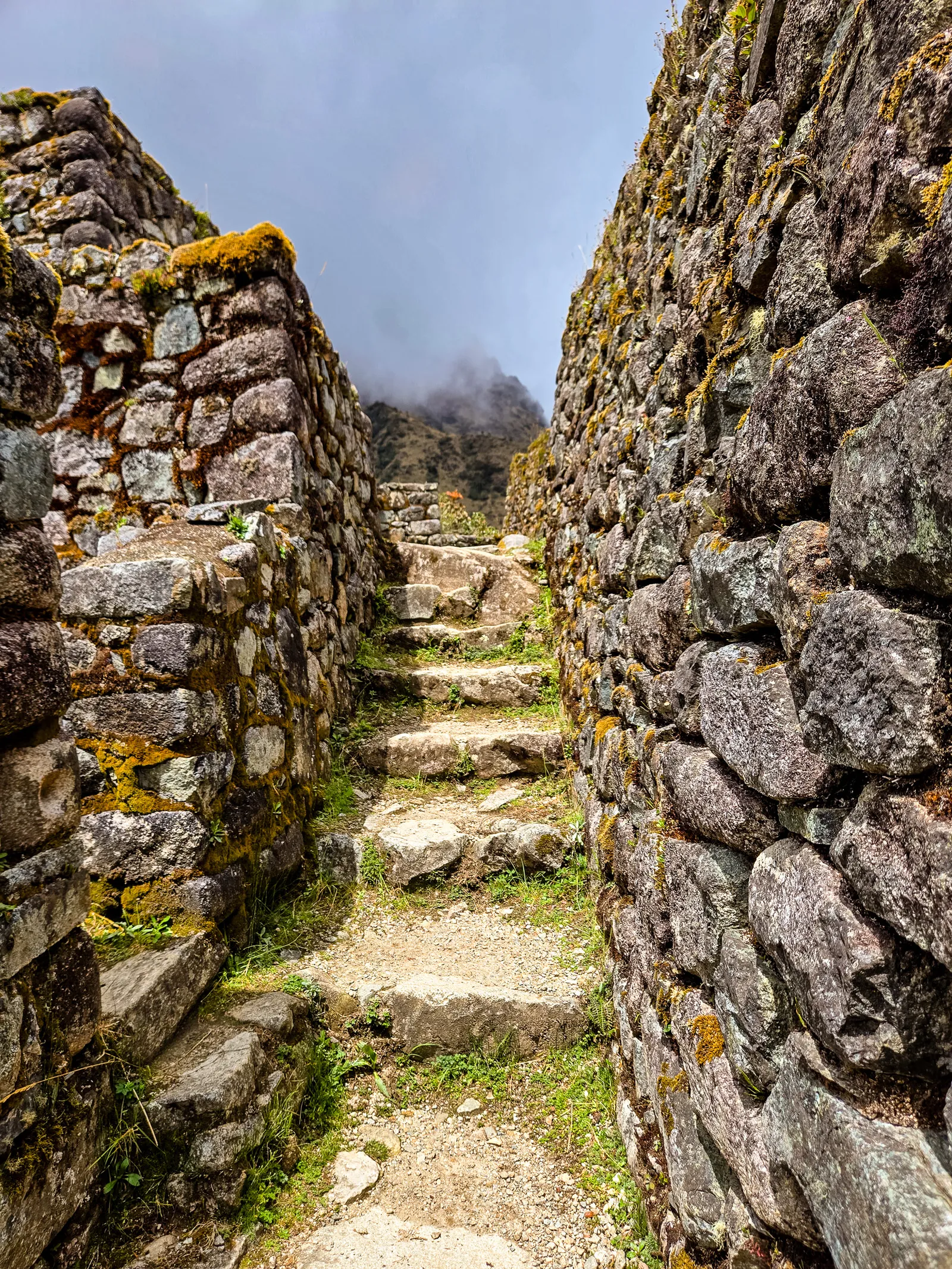 Sayacmarca fortress cloud forest 7.DOmWuv2o