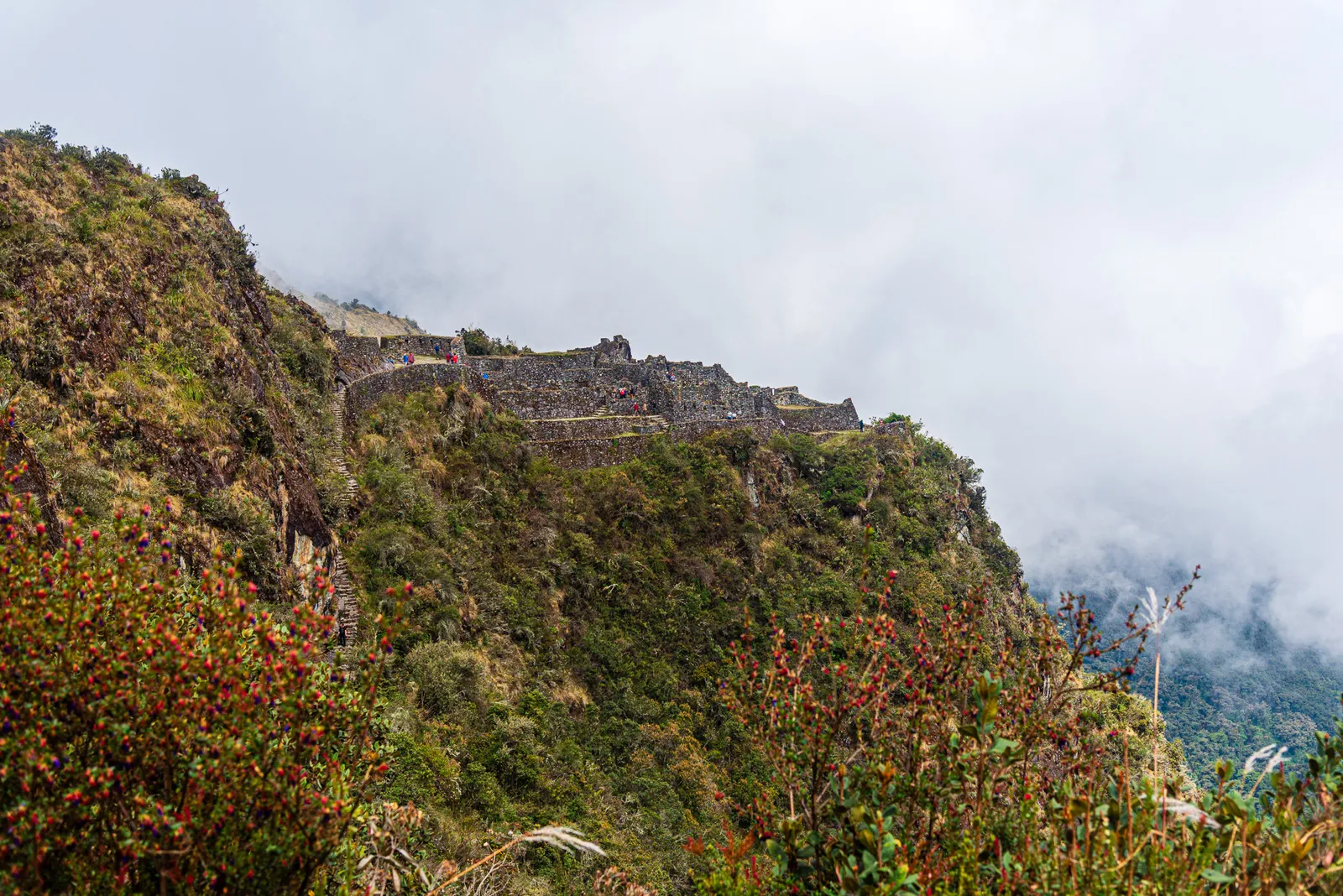 Sayacmarca fortress cloud forest.B4kq ygr