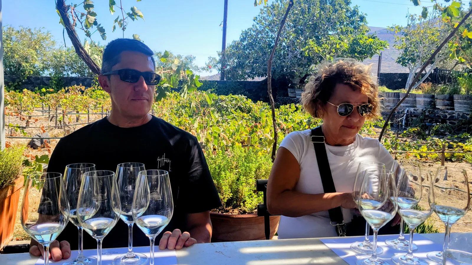 Wine tasting mark sara.BlQ7WIlR
