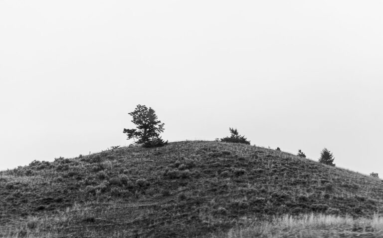 MMP_0760